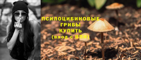 мяу мяу мука Ельня