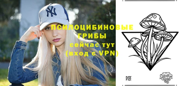 СК Абдулино