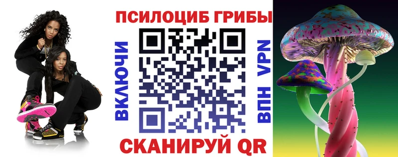 MEGA ССЫЛКА Тюмень Галлюциногенные грибы Cubensis