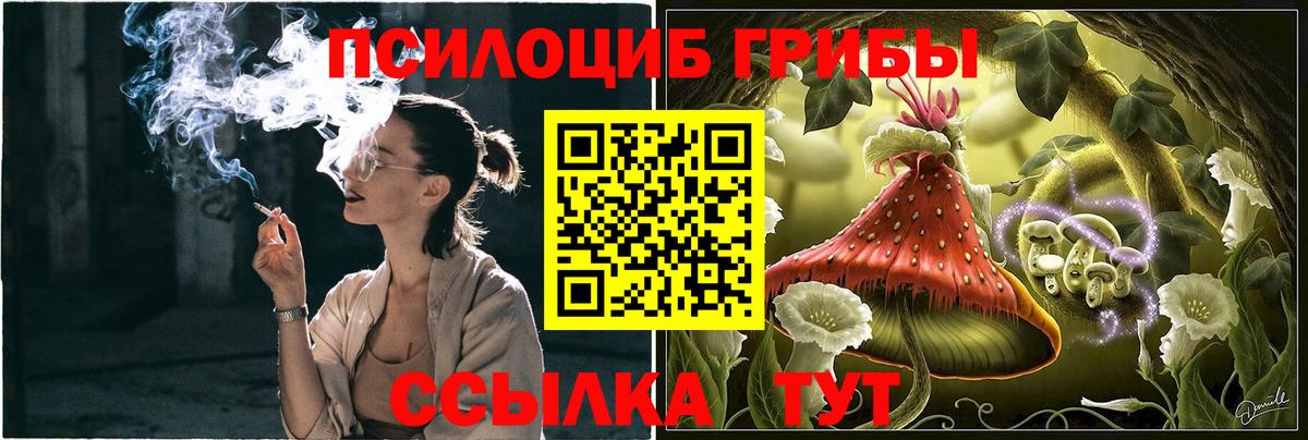 Псилоцибиновые грибы Psilocybine cubensis  Псилоцибиновые грибы прущие грибы  Вход с VPN  Тюмень 